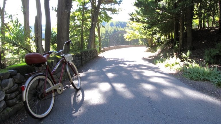 acadia s best carriage roads