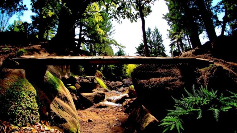 alabama s top mountain bike trails