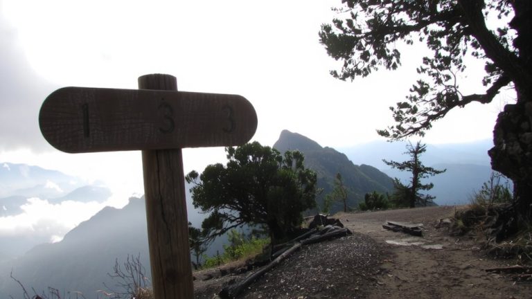 alpine trail grading system