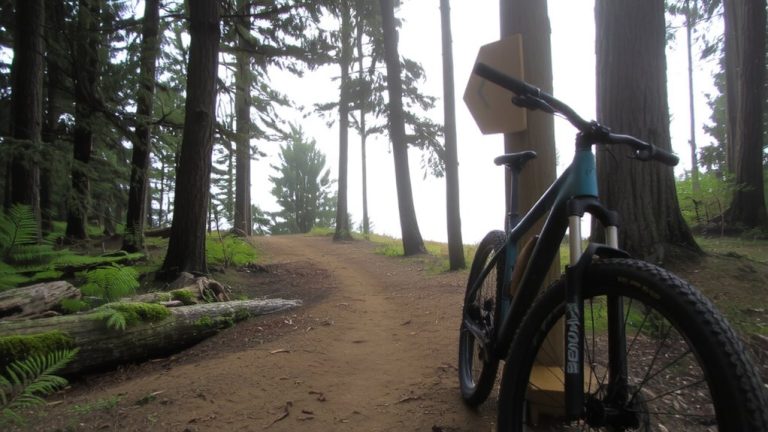 beginner friendly urban trails
