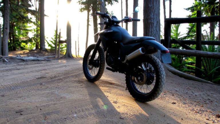 best bike for wheelies