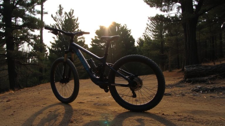 best bike for wheelies