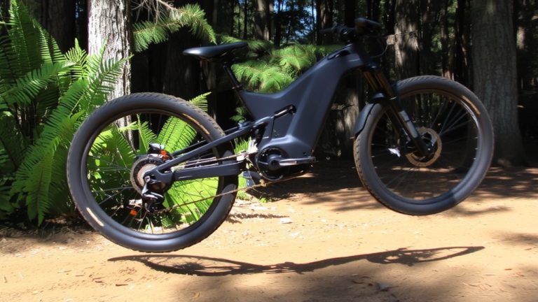best e bikes wheelie