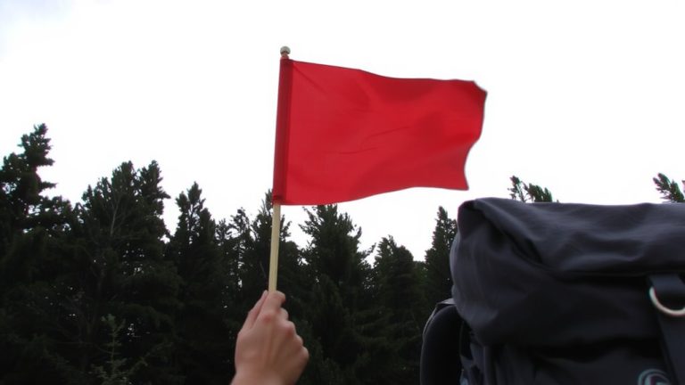 bright flag or pennant use