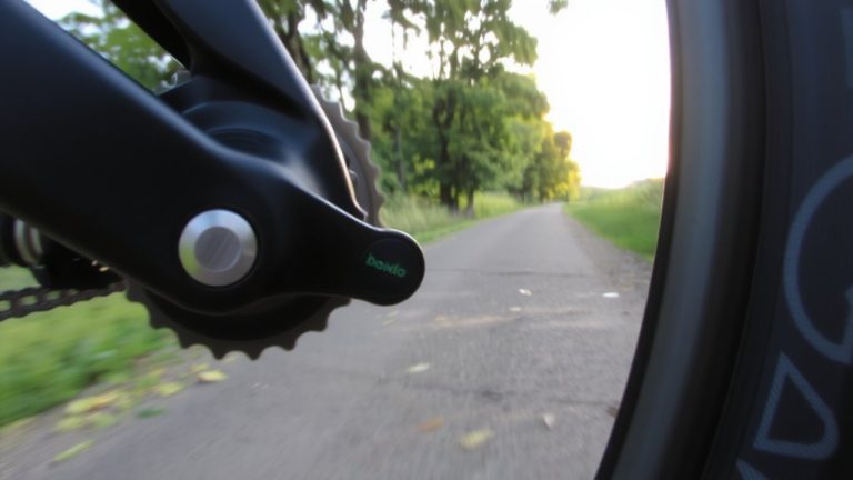 cadence and speed sensor