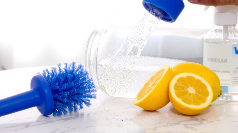 clean thoroughly after each use