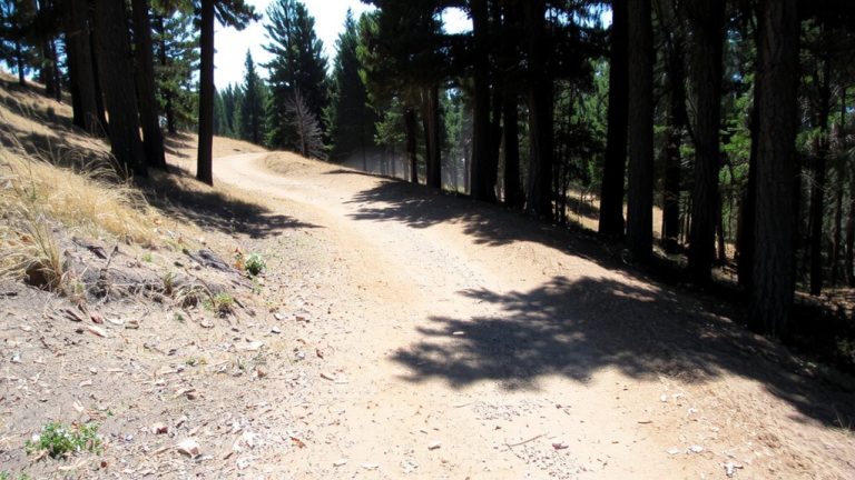 dry trails cool temps