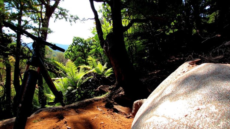 georgia s top mountain bike trails