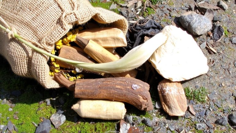 herbs for endurance athletes