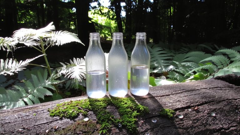 hydration guidelines for humid forests
