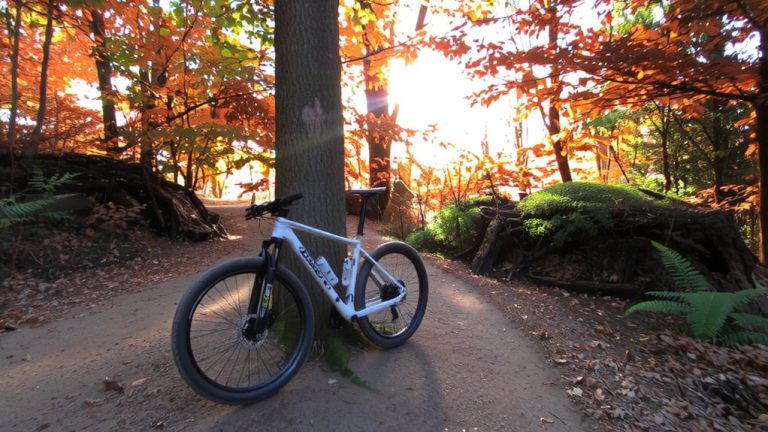 leafy season riding benefits