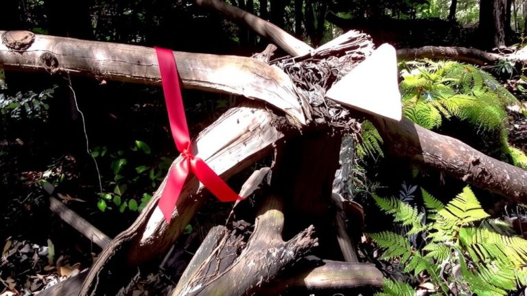 markers may mislead hikers