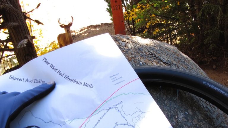 mountain bike trail access