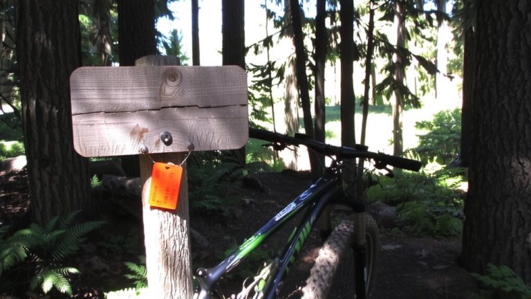 mountain biking permit requirements