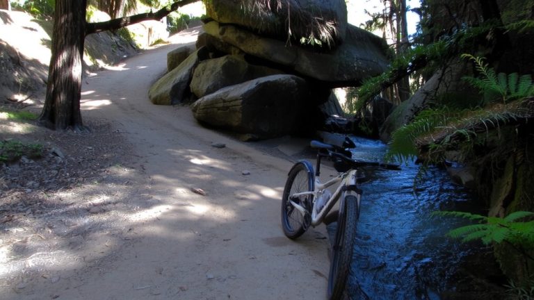 mountain biking with river access
