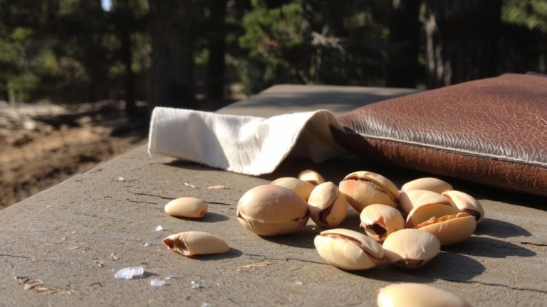 pistachio kernels in shell