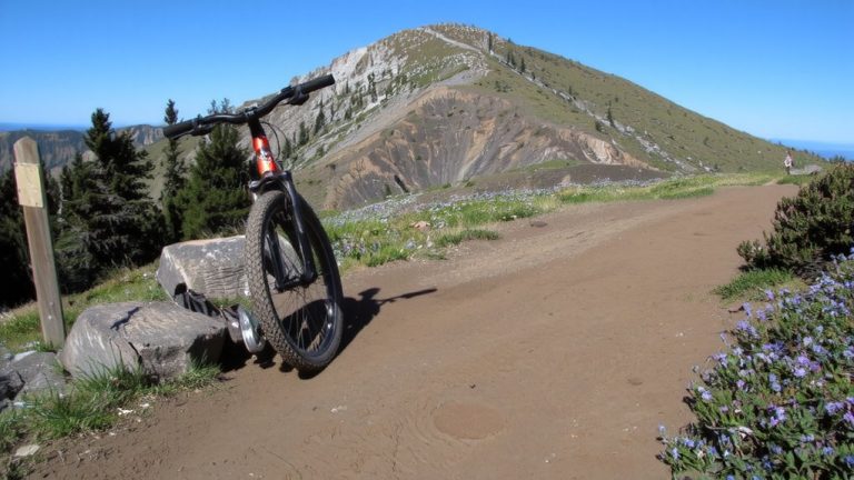 responsible riding matters