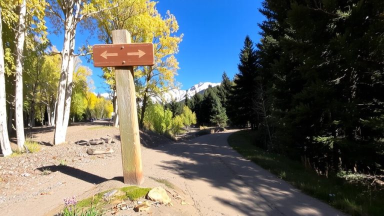 scenic colorado mountain bike trails