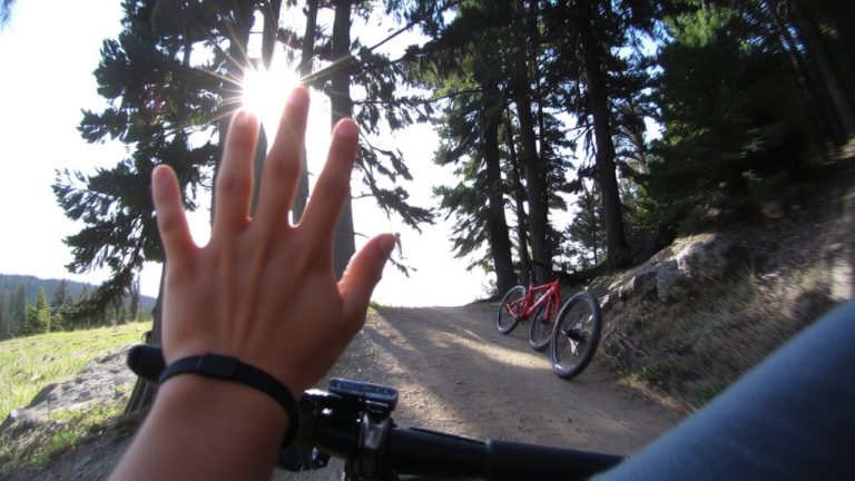 signal stops clearly singletrack