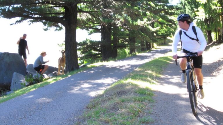 situational awareness for shared trails