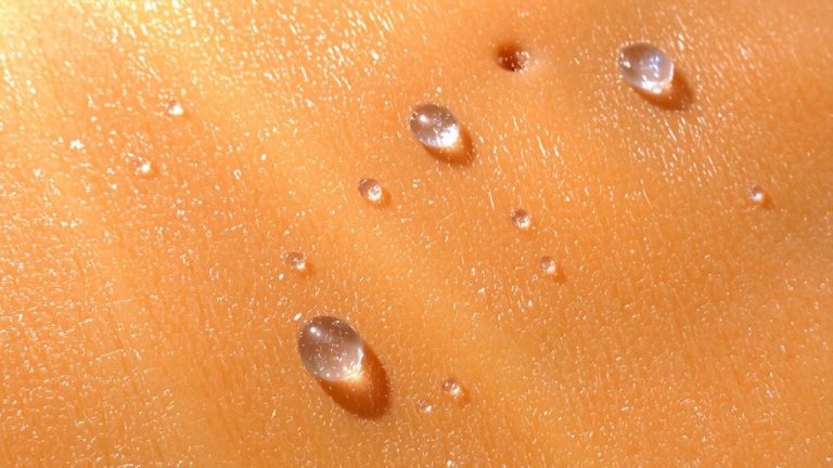 sun protection with antioxidants