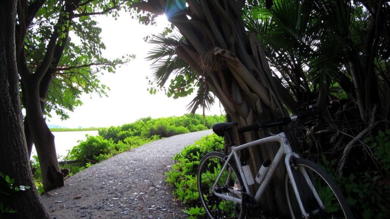 top bike paths miami
