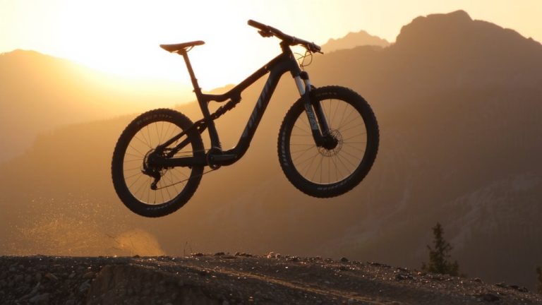 top bikes for descenders