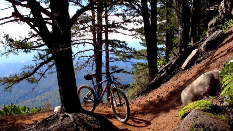 top sc mountain bike trails