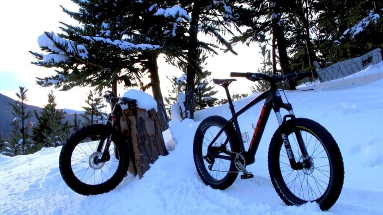 top winter cycling picks