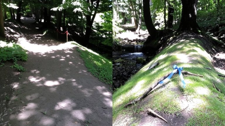 trail descriptions feature analysis