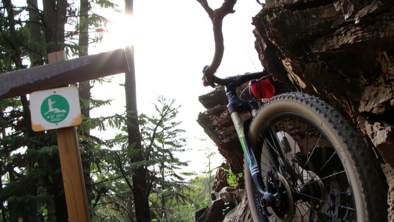 trail ratings mislead internationally