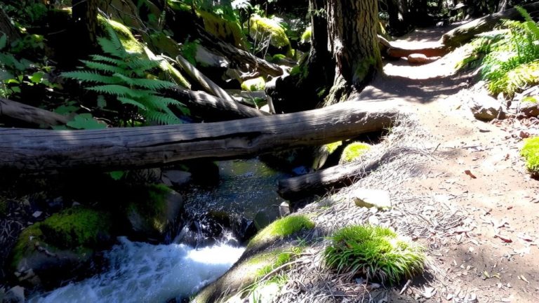 trails with natural barriers