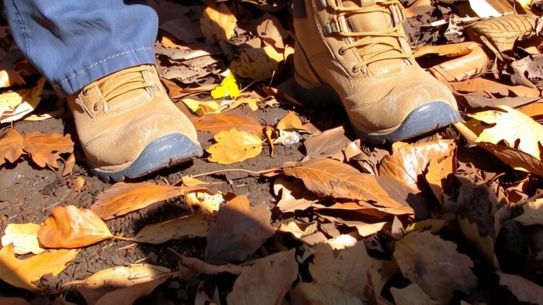 tread patterns in leaf litter